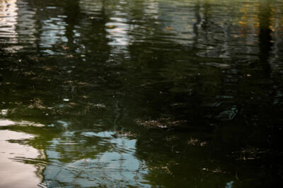 Bassin d’Arcachon : non aux nouveaux forages !